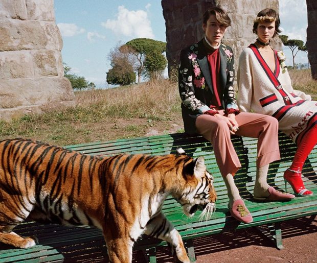 TAKE THE FIRST LOOK OF GUCCI SS17 CAMPAIGN