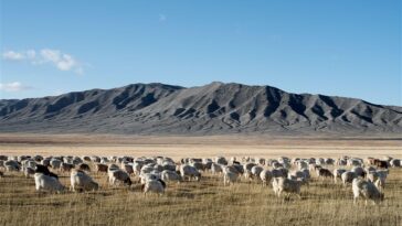 ZEGNA Presents Oasi Cashmere Campaign - Male Model Scene