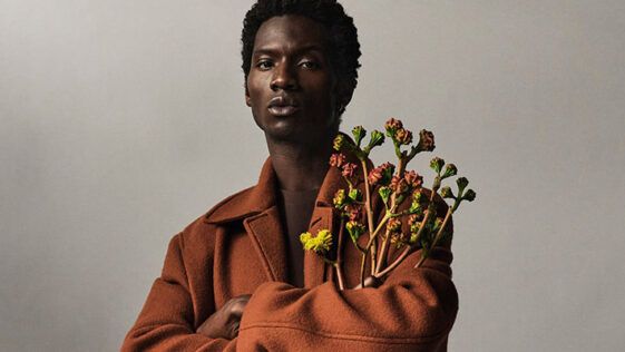 Adonis Bosso by Rainer Torrado